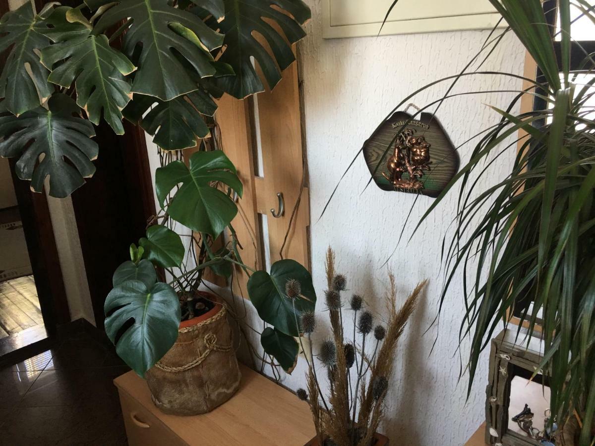 Apartmani Miljana Bar Exteriér fotografie